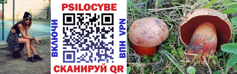 omg ССЫЛКА  Гдов  Галлюциногенные грибы Magic Shrooms 